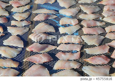 天日干しされる魚の切り身(大原漁港/千葉県いすみ市大原) 天日干しされる魚の切り身(大原漁港/千葉県いすみ市大原) 45755816