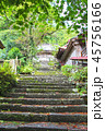 佐渡・長谷寺 45756166