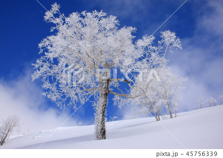 本倶登山周辺の雪景色 45756339