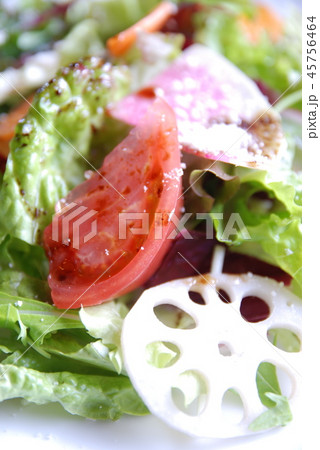 サラダ サラダ 45756464
