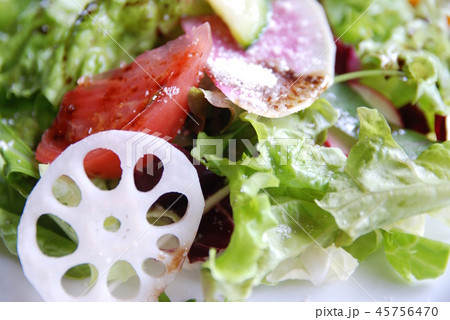 サラダ サラダ 45756470