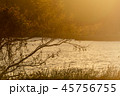 夕方と湖と木 45756755