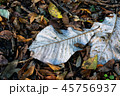 落ち葉 45756937