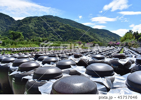 黒酢畑 黒酢畑 45757046