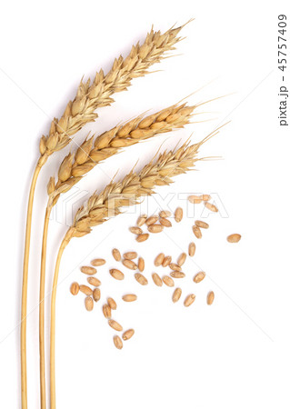 grain and ears of wheat isolated on white background. Top view 45757409