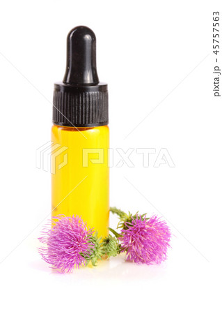 thistle oil and milk thistle flower isolated on white background 45757563
