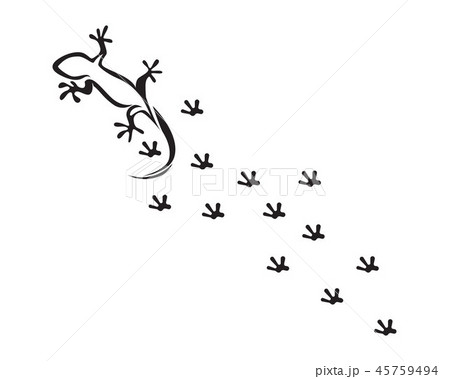Lizard Chameleon Gecko Silhouette 45759494
