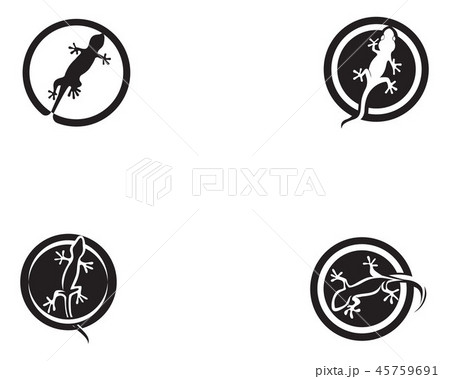 Lizard Chameleon Gecko Silhouette black  Lizard Chameleon Gecko Silhouette black  45759691