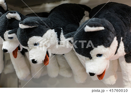 Cuddly soft toys of husky dogs from the kids shop for sale in a gift shop 45760010