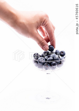 ブルーベリー 45760616