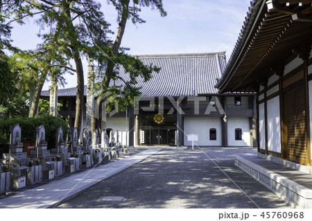 善通寺　西院　遍照閣 45760968