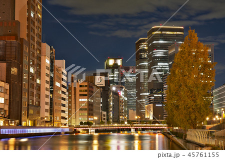 【栴檀木橋 夜景】 大阪府大阪市北区中之島 45761155