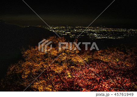 《神奈川県 大山寺・大山阿夫利神社》大山寺・大山阿夫利神社の紅葉ライトアップ 45761949