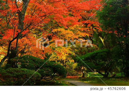 世界遺産 紅葉の中尊寺 世界遺産 紅葉の中尊寺 45762606