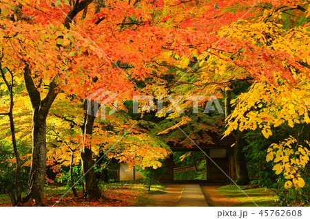 世界遺産 紅葉の中尊寺 世界遺産 紅葉の中尊寺 45762608