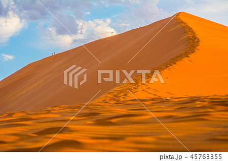 ナミブ砂漠　ナミビア　アフリカ 45763355