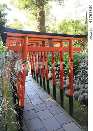 上野 花園稲荷神社 (正式名は忍丘稲荷) 上野 花園稲荷神社 (正式名は忍丘稲荷) 45763380