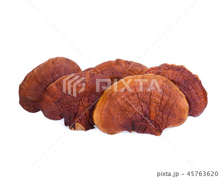 dried lingzhi mushroom isolated on white  45763620