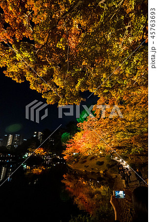 もみじ70 もみじ70 45763693