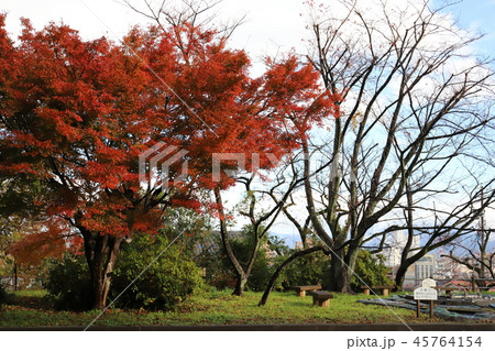 福井散策 福井城模型（足羽山 愛宕坂 福井県 福井市） 45764154