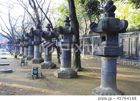 上野東照宮　灯篭 45764188