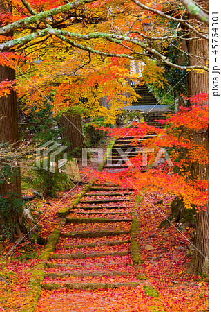秋の龍穏寺 45764301