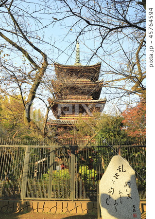 台東区上野　五重塔 45764594