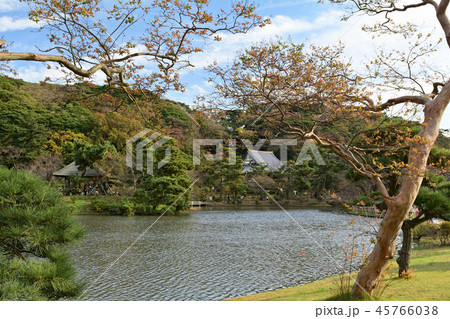 横浜・三渓園 横浜・三渓園 45766038