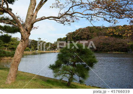 横浜・三渓園 横浜・三渓園 45766039