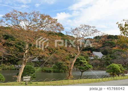 横浜・三渓園 横浜・三渓園 45766042
