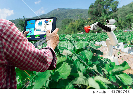 Smart robotic farmers strawberry in agriculture 45766748