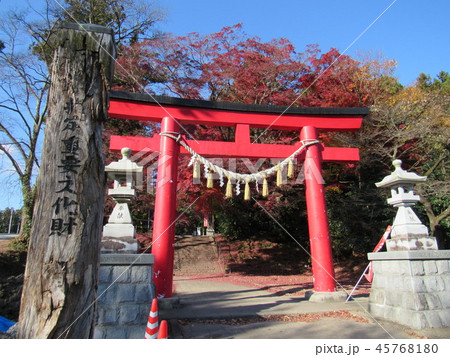 仙台市泉区　賀茂神社 45768180