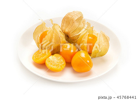 食用ホオズキ 45768441