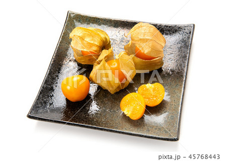食用ホオズキ 45768443
