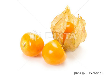 食用ホオズキ 食用ホオズキ 45768449