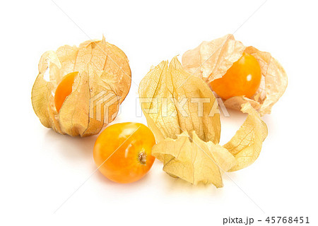 食用ホオズキ 45768451