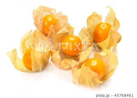 食用ホオズキ 45768461