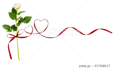 Red silk ribbon hearts and white rose flower  45768617