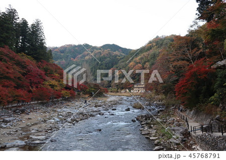 香嵐渓の川沿い 45768791