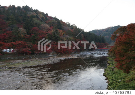 香嵐渓の山と巴川 45768792