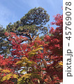 永観堂の紅葉 45769078
