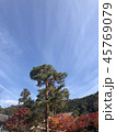永観堂の紅葉 45769079