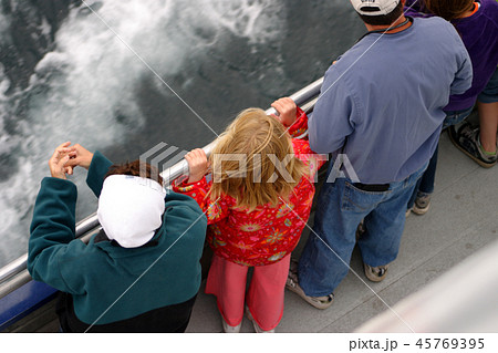 Tail fin of a gray whale in Atlantic.. Tail fin of a gray whale in Atlantic.. 45769395