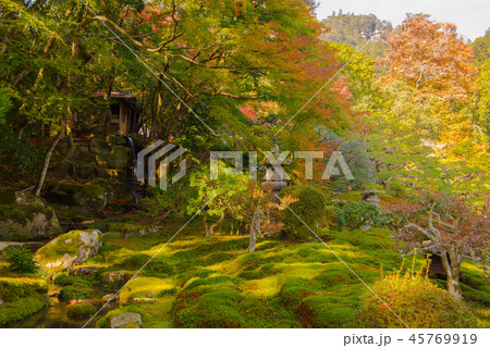 秋の旧竹林院 45769919
