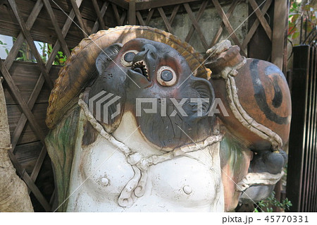 たぬき たぬき 45770331