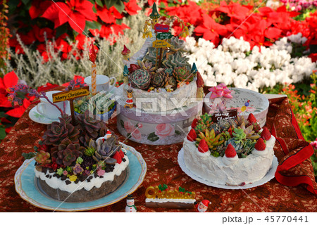 サボテンのクリスマスケーキ 45770441