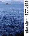 日本海 45771458