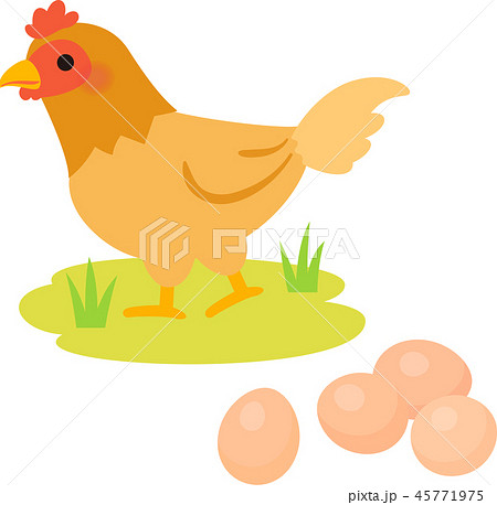 放し飼いの鶏と卵のイラスト素材