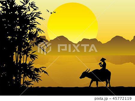 Silhouette of a man riding buffalo in countryside Silhouette of a man riding buffalo in countryside 45772119