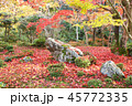 紅葉の庭1 45772335